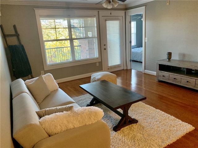 living room with hardwood / wood-style flooring, ceiling fan, and crown molding