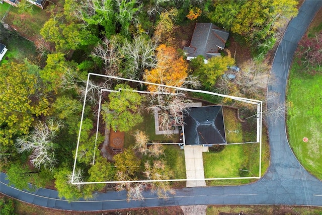 193 Holden Dr, Clemson, SC 29631 - photo 42