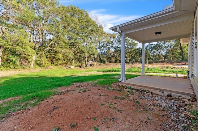 view of yard featuring a patio area