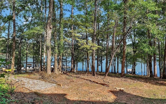 view of water feature