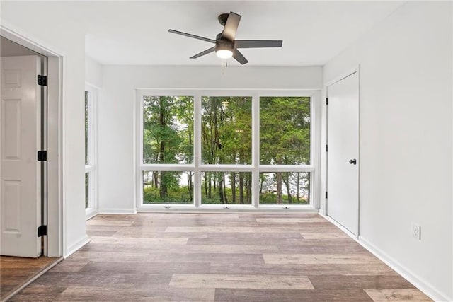 empty room with ceiling fan and light hardwood / wood-style flooring