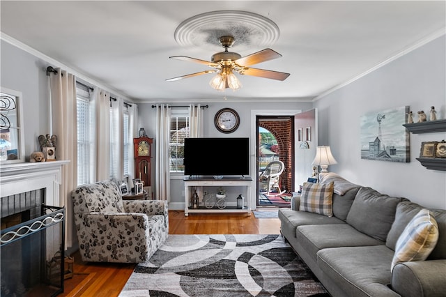 living room featuring hardwood / wood-style floors, ceiling fan, and crown molding