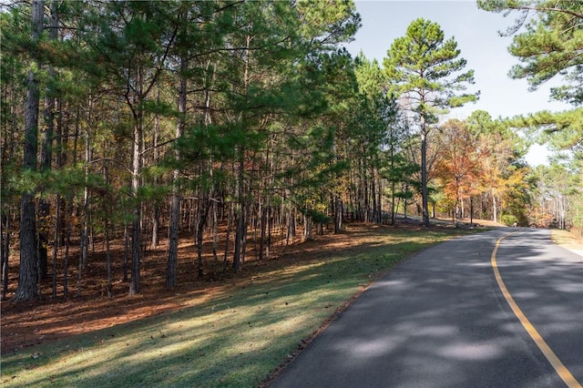 LOT39 Golden Bear Dr, Sunset, SC 29685 - photo 1