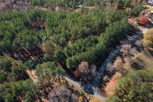 LOT39 Golden Bear Dr, Sunset, SC 29685 - photo 2