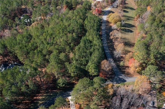 LOT39 Golden Bear Dr, Sunset, SC 29685 - photo 3