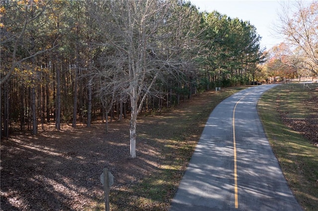 LOT39 Golden Bear Dr, Sunset, SC 29685 - photo 6