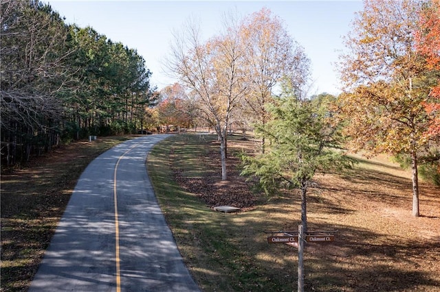 LOT39 Golden Bear Dr, Sunset, SC 29685 - photo 7