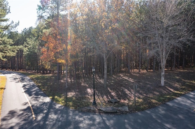 LOT39 Golden Bear Dr, Sunset, SC 29685 - photo 8