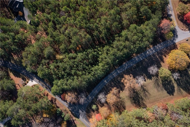 LOT39 Golden Bear Dr, Sunset, SC 29685 - photo 9