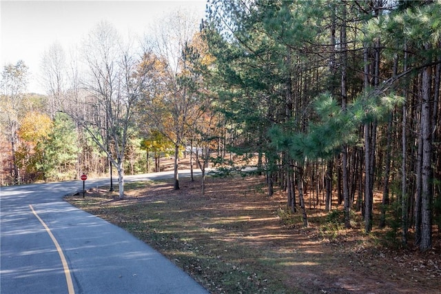LOT39 Golden Bear Dr, Sunset, SC 29685 - photo 10