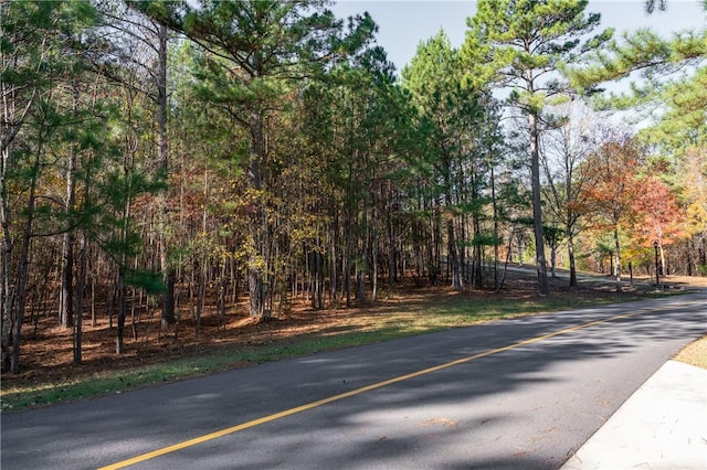 LOT39 Golden Bear Dr, Sunset, SC 29685 - photo 11
