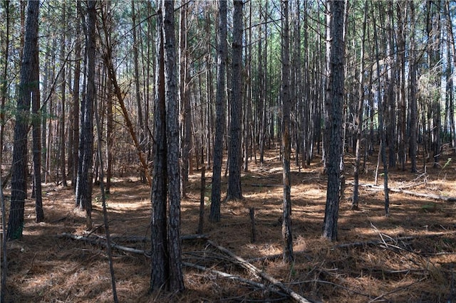 LOT39 Golden Bear Dr, Sunset, SC 29685 - photo 13
