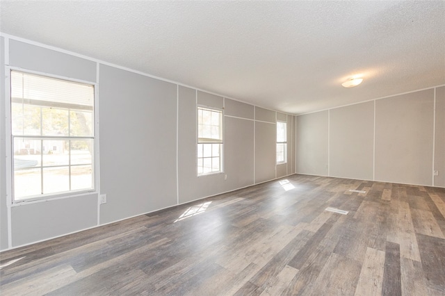 spare room with a textured ceiling, a wealth of natural light, and dark hardwood / wood-style floors