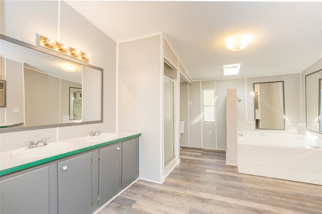 bathroom featuring vanity, wood-type flooring, and a textured ceiling