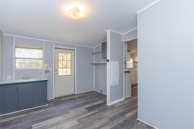 182 Poplar Springs Dr, Easley, SC 29642 - interior space featuring dark wood-style floors, a textured ceiling, ornamental molding, and a sink