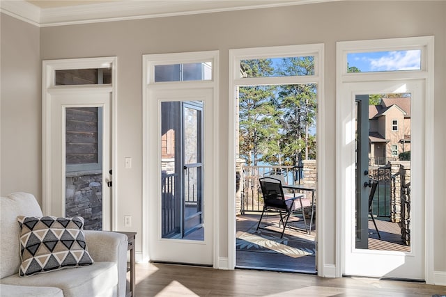 entryway featuring wood-type flooring and ornamental molding