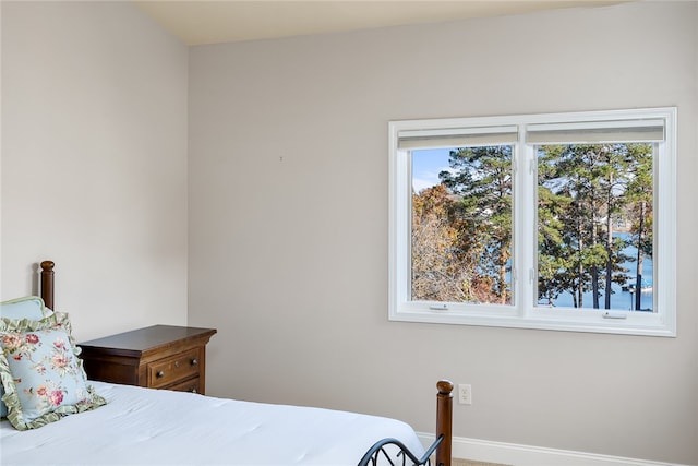 bedroom featuring multiple windows