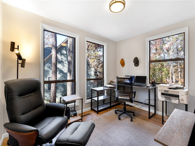 office space with light hardwood / wood-style floors and a wealth of natural light