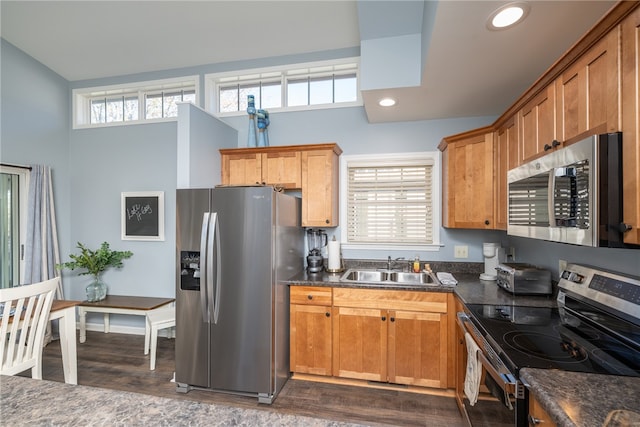 kitchen featuring dark wood-type flooring, sink, and stainless steel appliances