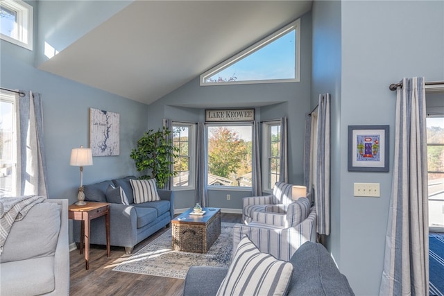 living room featuring a wealth of natural light, high vaulted ceiling, and hardwood / wood-style flooring