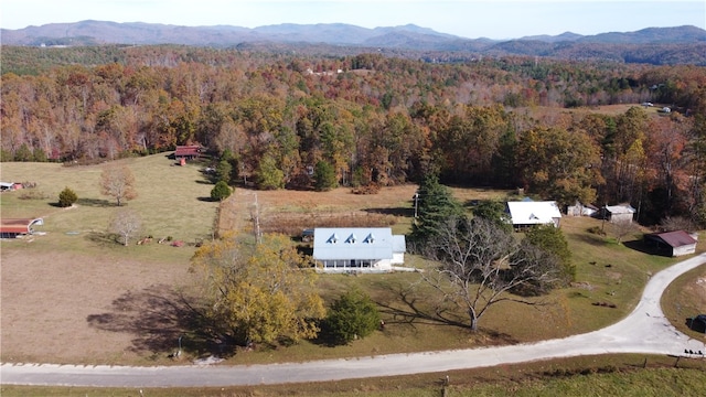 bird's eye view featuring a mountain view