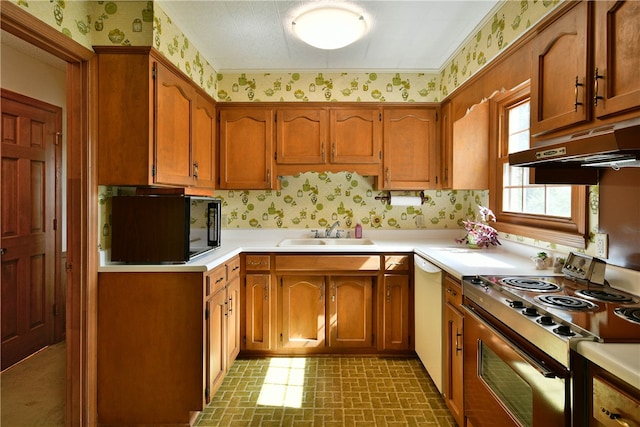 kitchen featuring dishwasher, stainless steel electric range oven, and sink