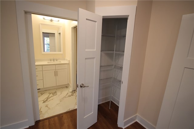 closet with sink