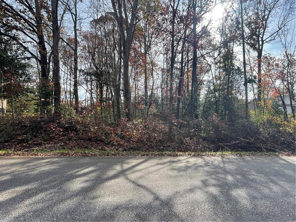 LOT58 Melody Trl, Anderson, SC 29621 - photo 1