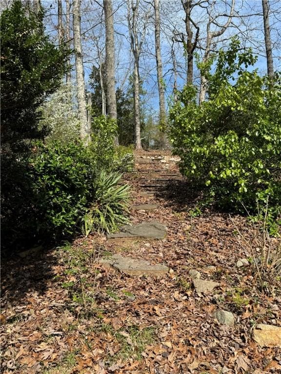 251 Oak Haven Dr, Mountain Rest, SC 29664 - view of local wilderness