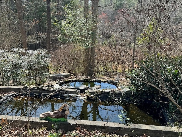 251 Oak Haven Dr, Mountain Rest, SC 29664 - water view featuring a garden pond