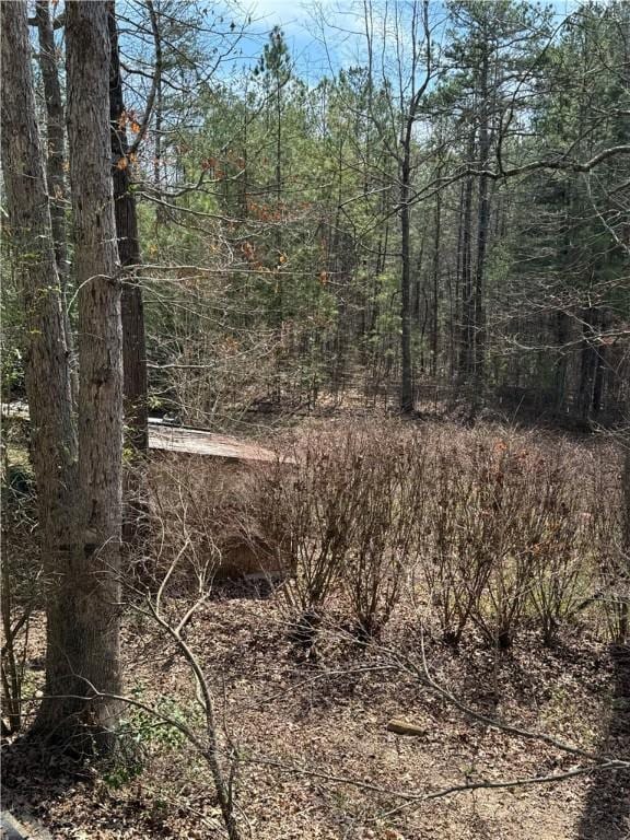 251 Oak Haven Dr, Mountain Rest, SC 29664 - view of wooded area