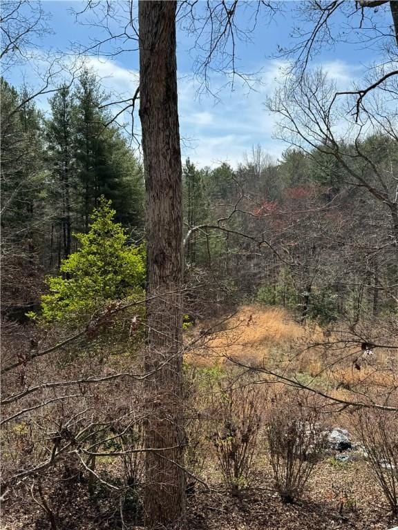 251 Oak Haven Dr, Mountain Rest, SC 29664 - view of tree filled area