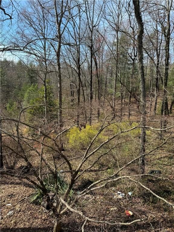 251 Oak Haven Dr, Mountain Rest, SC 29664 - view of local wilderness