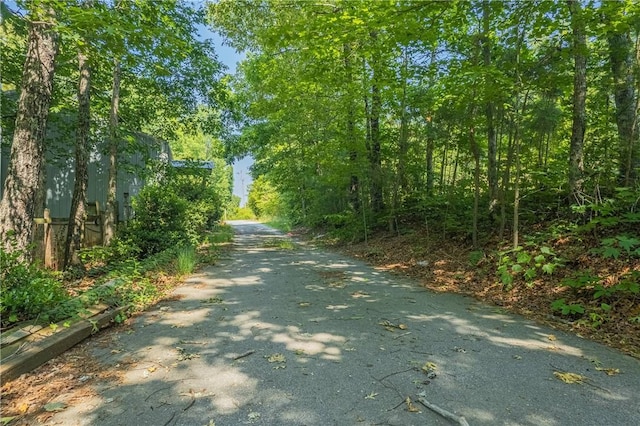 251 Oak Haven Dr, Mountain Rest, SC 29664 - view of street
