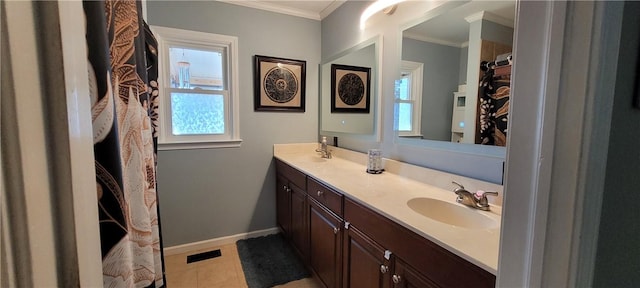 full bathroom featuring double vanity, baseboards, ornamental molding, and a sink
