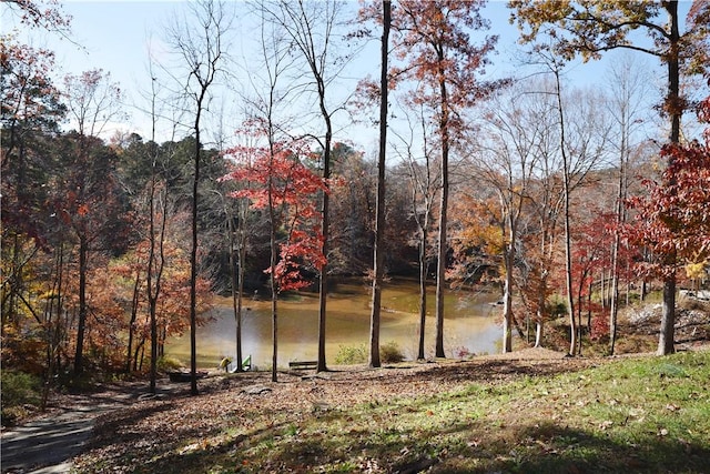 view of water feature