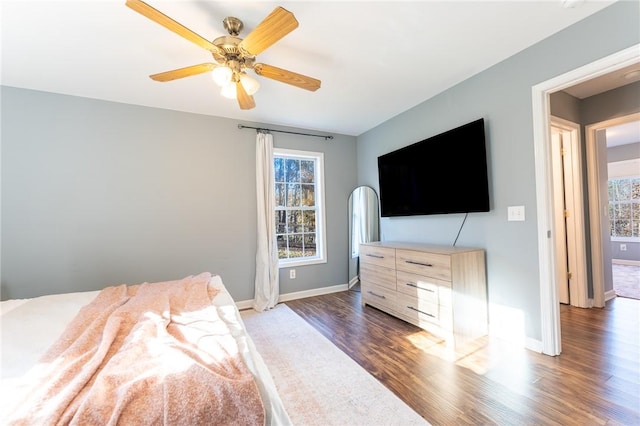 bedroom featuring ceiling fan and dark wood-type flooring