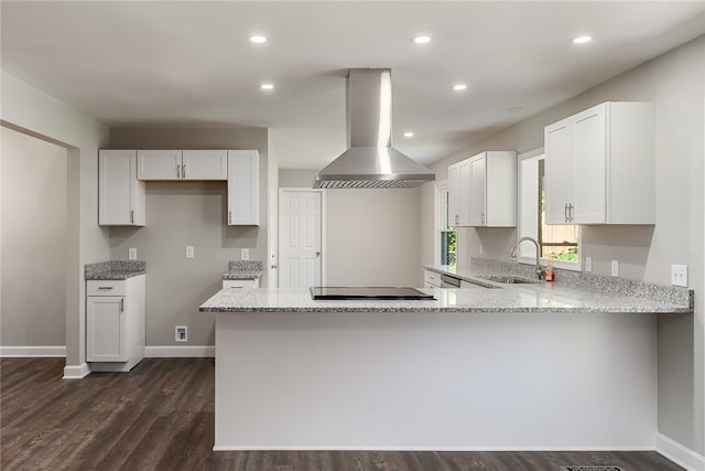 kitchen with white cabinets, dark hardwood / wood-style floors, sink, and island exhaust hood