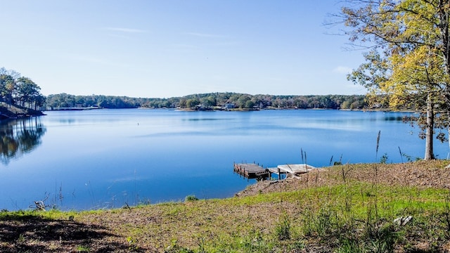 property view of water featuring a dock