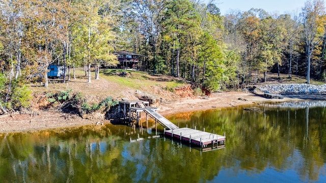 dock area with a water view