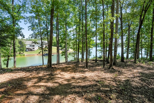 Listing photo 3 for LOT25 Longpoint Dr, Abbeville SC 29620