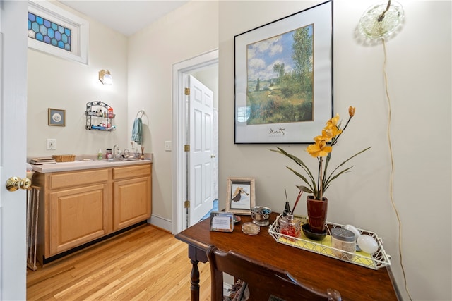 bathroom with hardwood / wood-style flooring and vanity