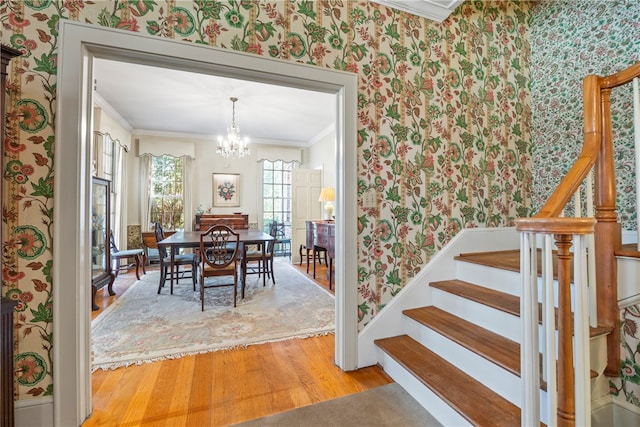 dining space featuring hardwood / wood-style floors, crown molding, and a notable chandelier