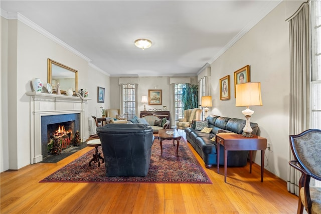 living room with hardwood / wood-style flooring and crown molding