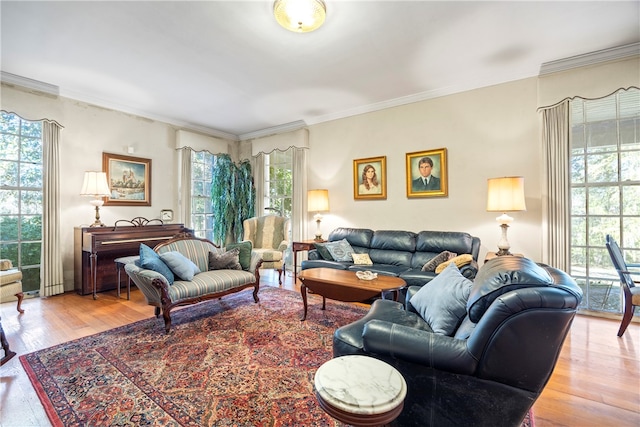 living room featuring wood-type flooring and ornamental molding