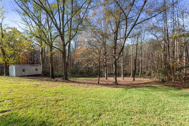 view of yard featuring a shed