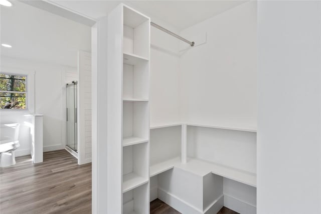 spacious closet with dark wood-type flooring