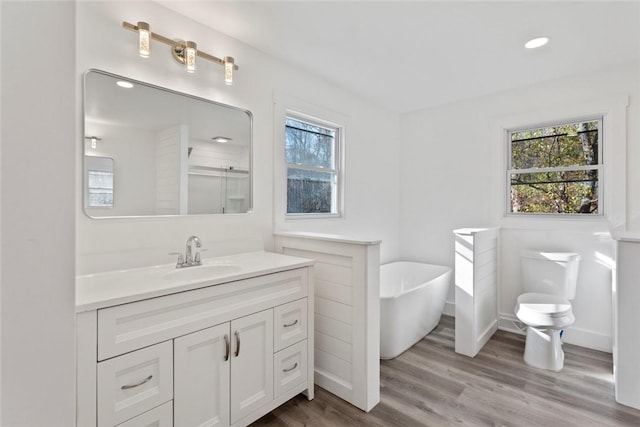 bathroom with hardwood / wood-style floors, vanity, and separate shower and tub