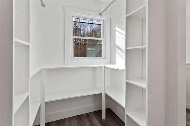 spacious closet featuring dark hardwood / wood-style flooring