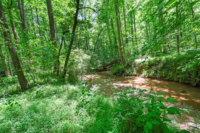 view of nature featuring a water view